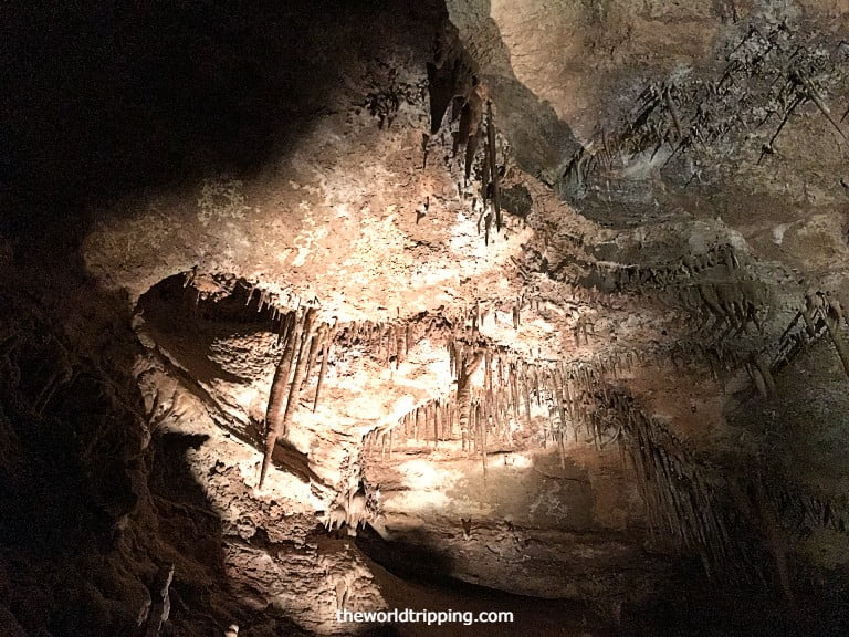 Limestone caves at Baratang Island