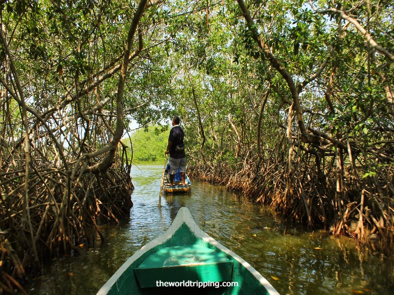 offbeat Places in Andaman and Nicobar Island