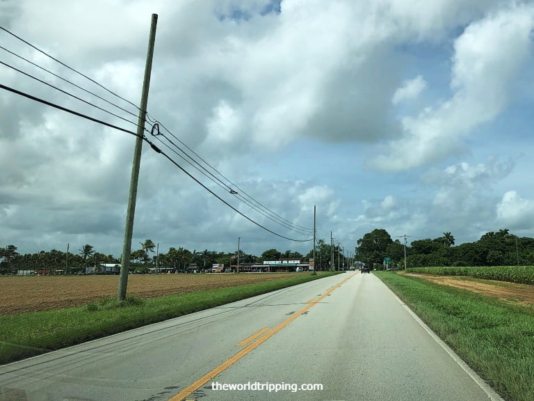 Robert is here fruit stand Homestead Florida