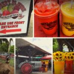 Robert is Here Fruit Stand Reviews: Why you should visit here on way to Everglades National Park
