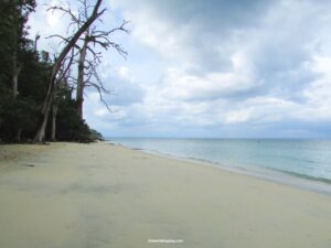 Read more about the article Top 5 Offbeat Places In Andaman and Nicobar Islands