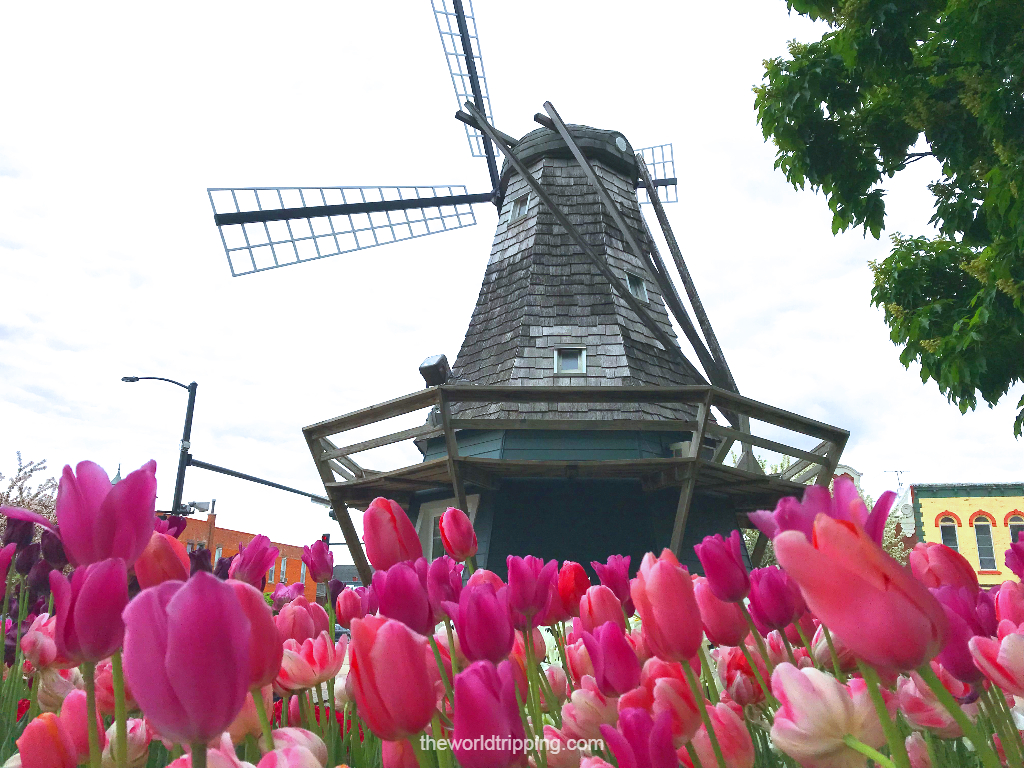 Complete Guide To City Of Pella Iowa Tulip Time Festival The World