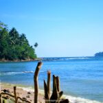 Top 5 things to do in Andaman and Nicobar Islands