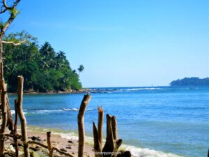 Read more about the article Top 5 things to do in Andaman and Nicobar Islands