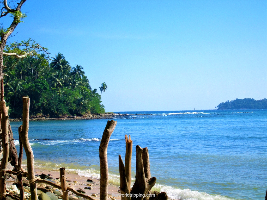 You are currently viewing Top 5 things to do in Andaman and Nicobar Islands