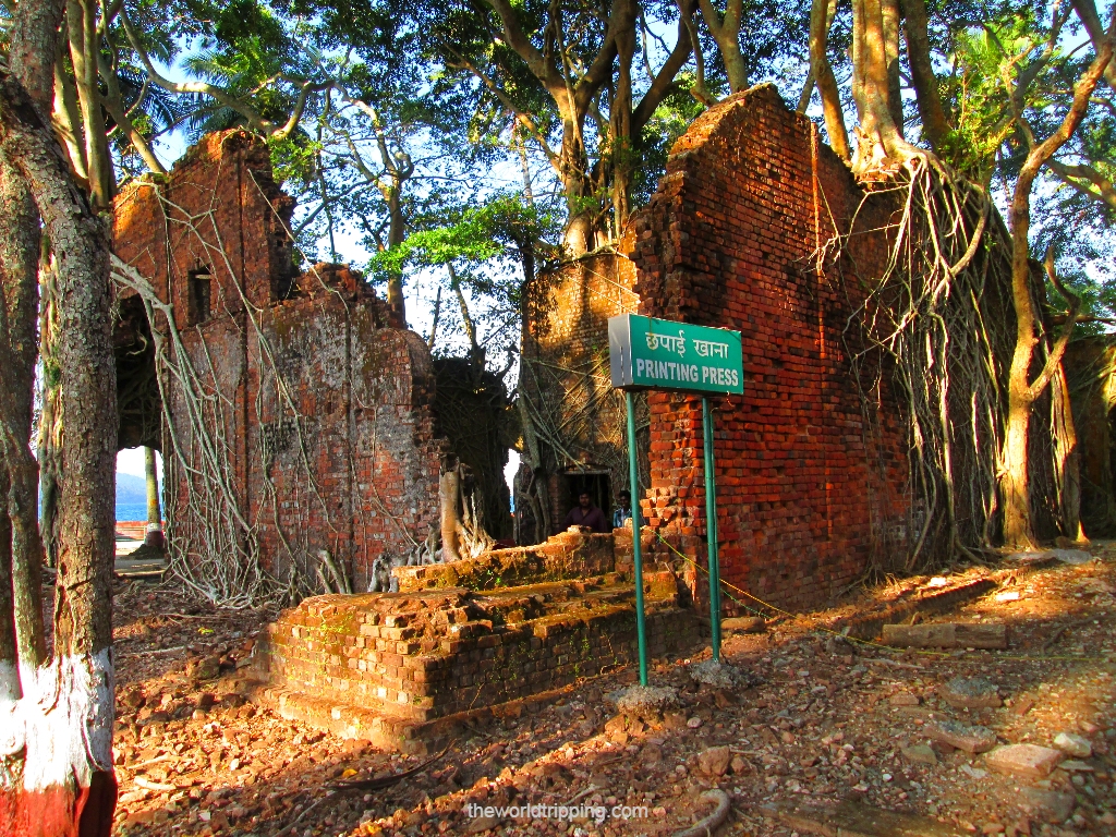 Remains of Japanese bunkers & colonies naturally sheltered by roots and branches of the trees at Ross Island