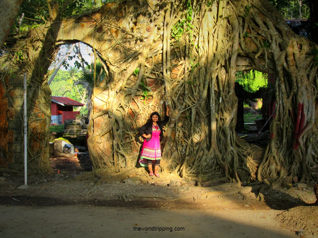 Remains of Japanese bunkers & colonies at Ross Island, Andaman and Nicobar Islands