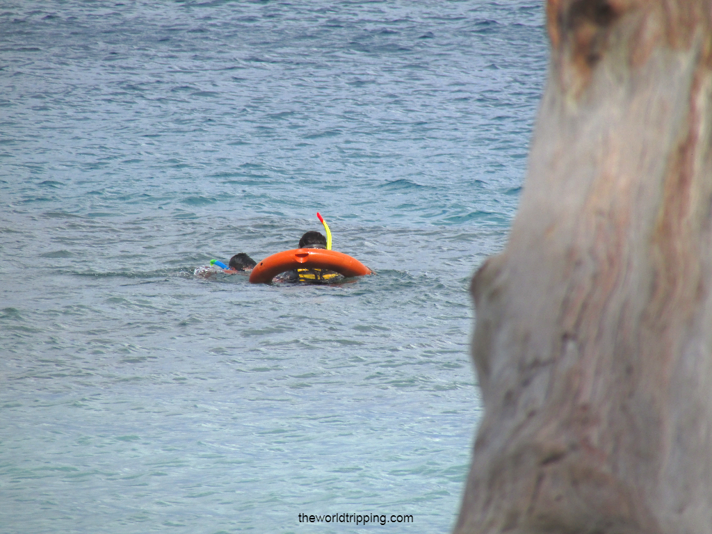 Snorkelling at Elephant Beach, Havelock Islands
