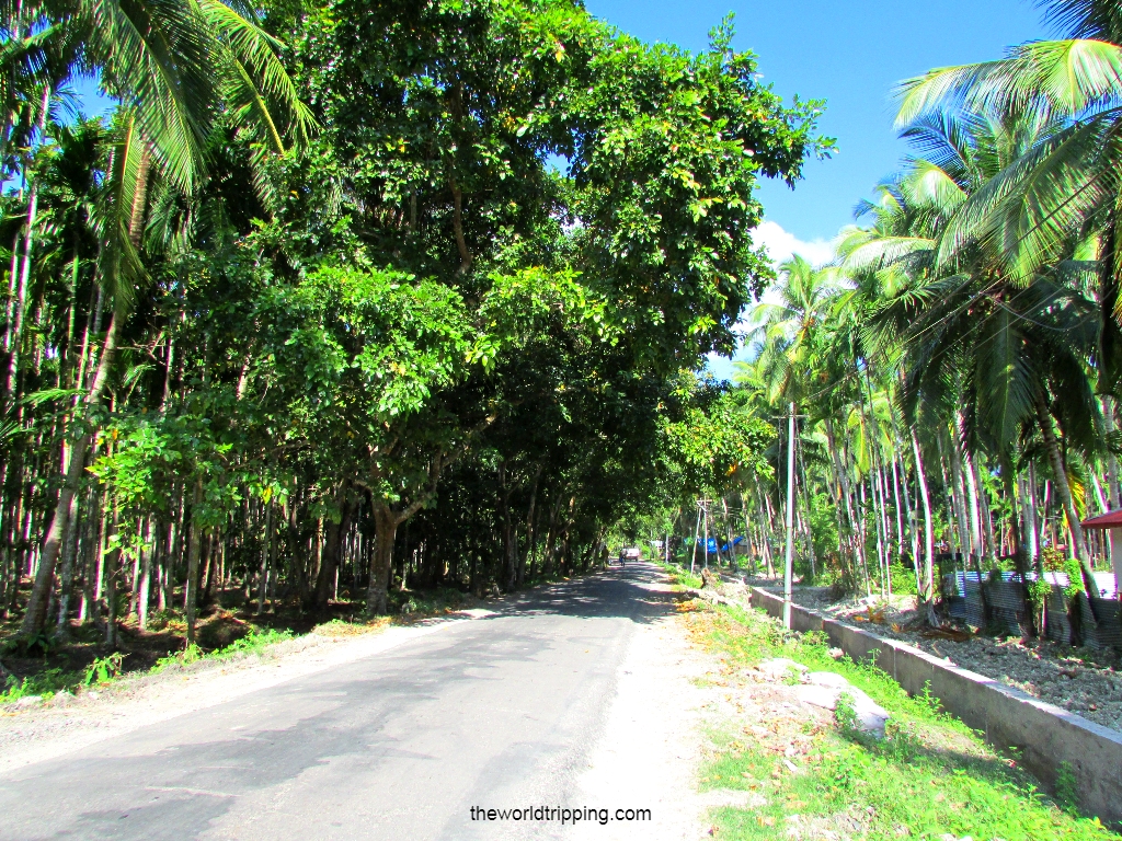 Biking in Havelock Islands