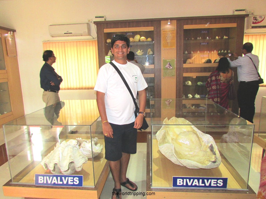 Naval Marine Museum, Port Blair