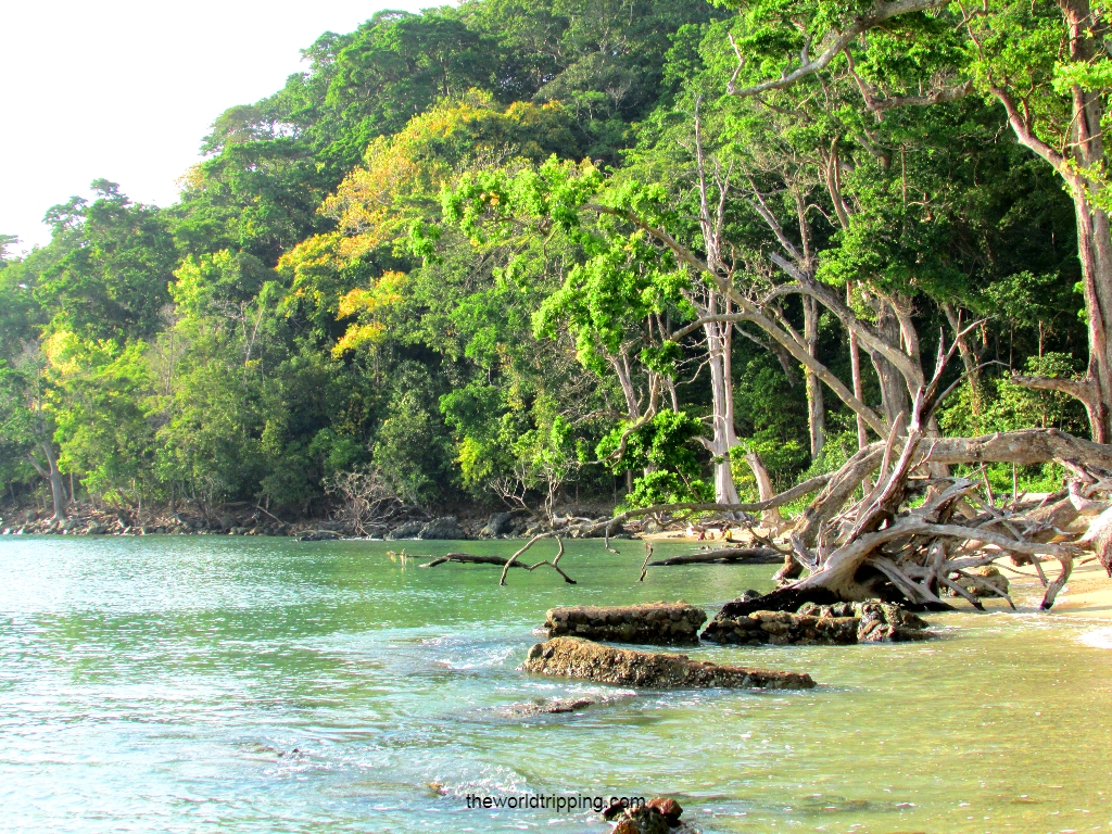 Chidiya Tapu, Andaman and Nicobar Islands