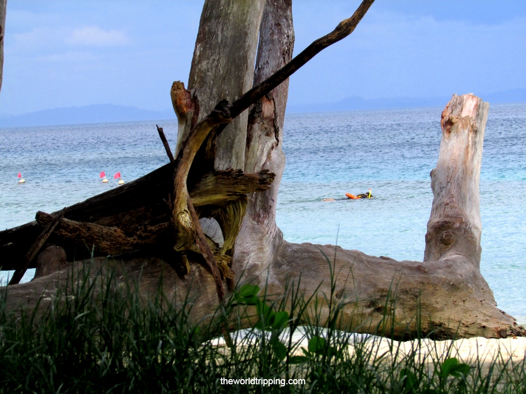 Snorkelling at Elephant Beach, Havelock Island